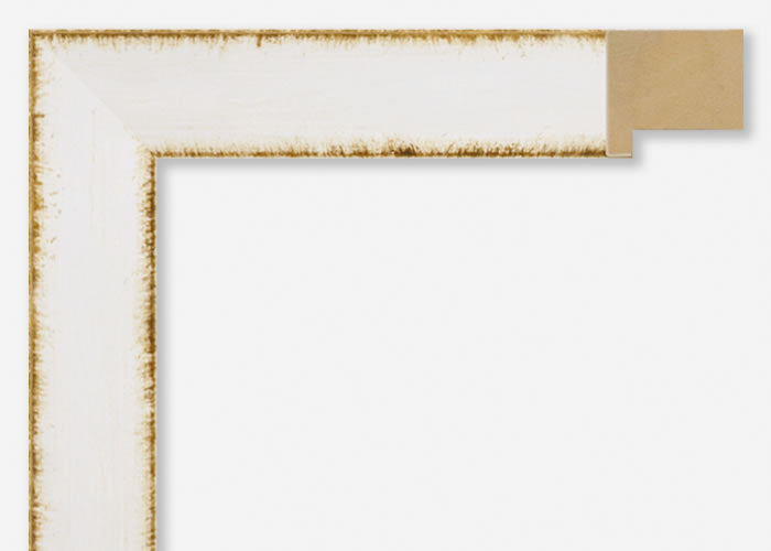 Custom Frame CFSX805-330