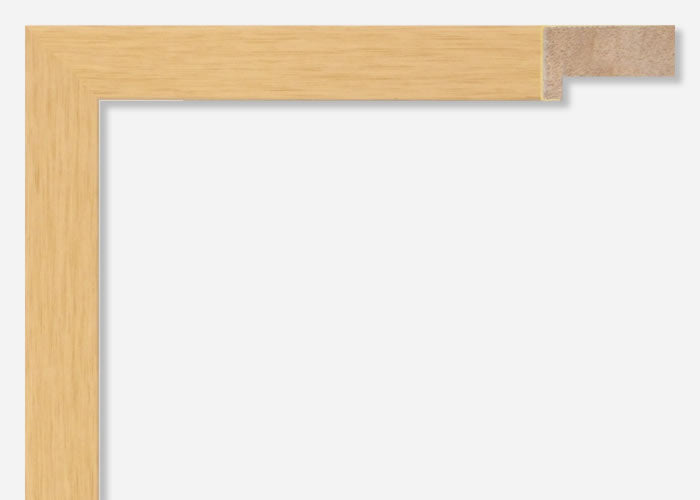 Custom Frame CFSX805-40