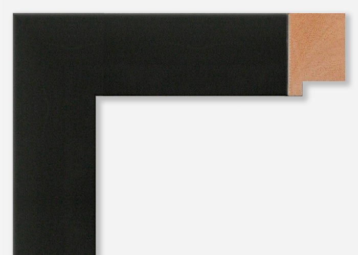 Custom Frame CFSX805-45