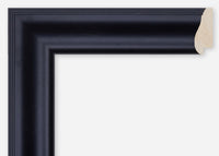 Custom Frame CFSQ8299