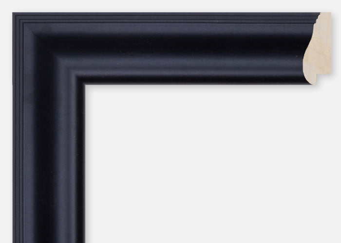 Custom Frame CFSQ8299