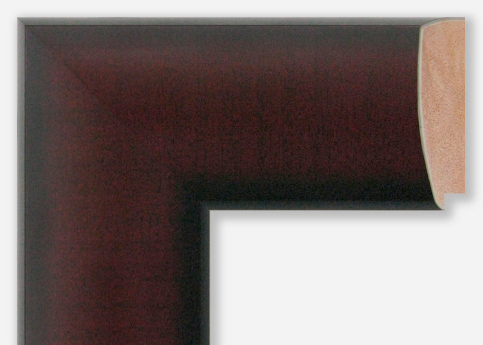 Custom Frame CFSX850-15