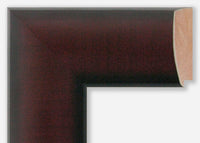 Custom Frame CFSX850-15