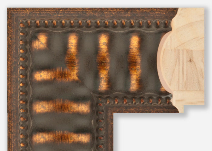 Custom Frame CFSZ8501