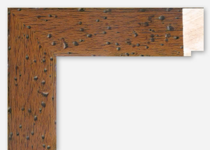 Custom Frame CFSX855-05