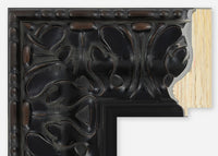 Custom Frame CFSZ8561