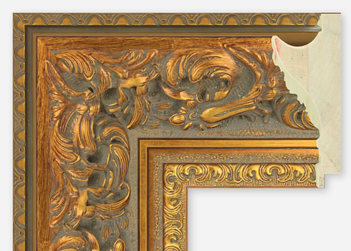 Custom Frame CFSZ8579