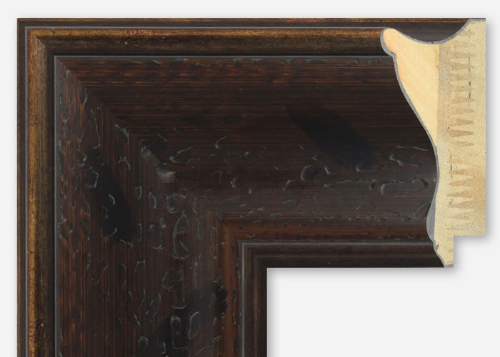 Custom Frame CFSZ8592