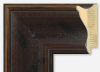 Custom Frame CFSZ8592