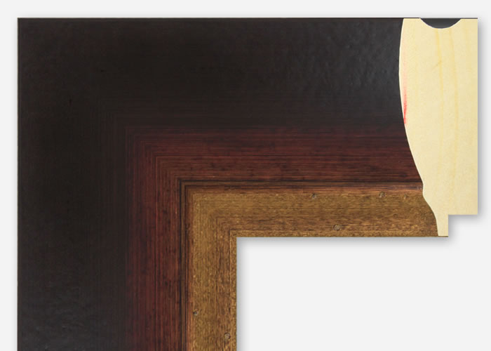 Custom Frame CFSZ8608