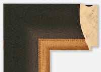 Custom Frame CFSZ8609