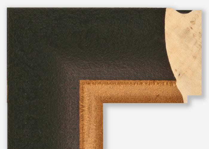 Custom Frame CFSZ8609