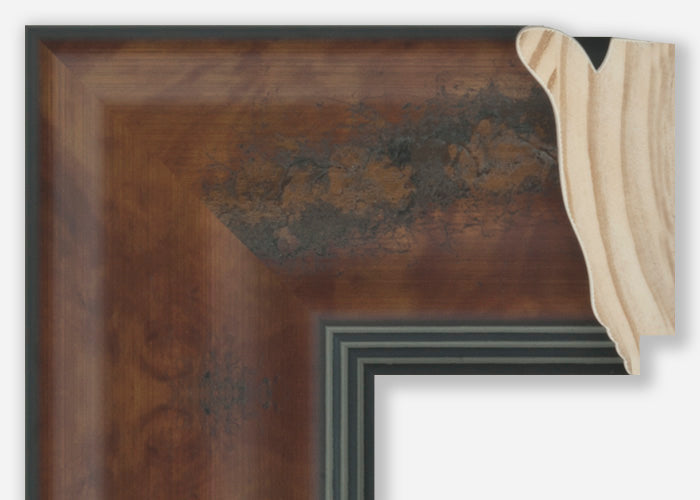 Custom Frame CFSZ8611