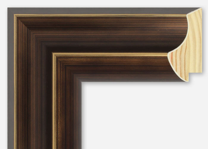 Custom Frame CFSZ8619