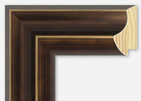 Custom Frame CFSZ8619