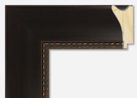 Custom Frame CFSZ8621