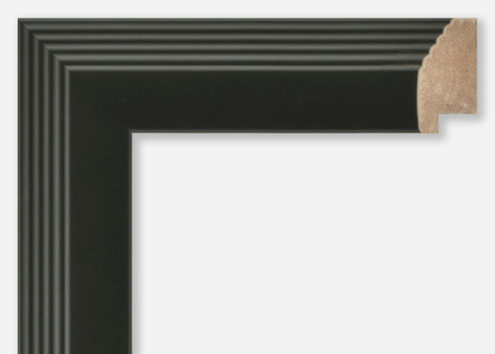 Custom Frame CFSZ8630