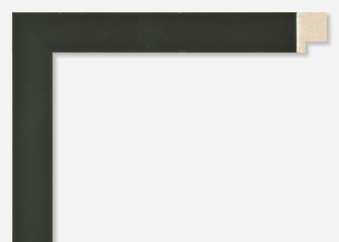 Custom Frame CFSZ8666