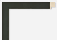 Custom Frame CFSZ8666