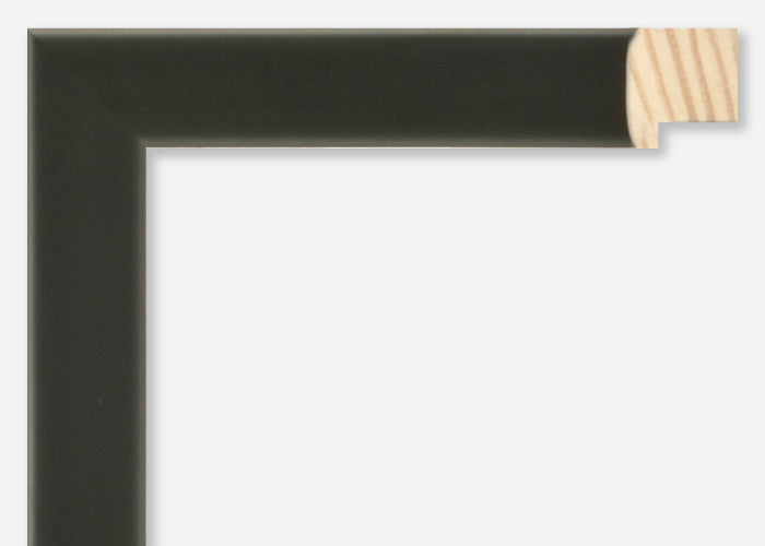 Custom Frame CFSZ8667