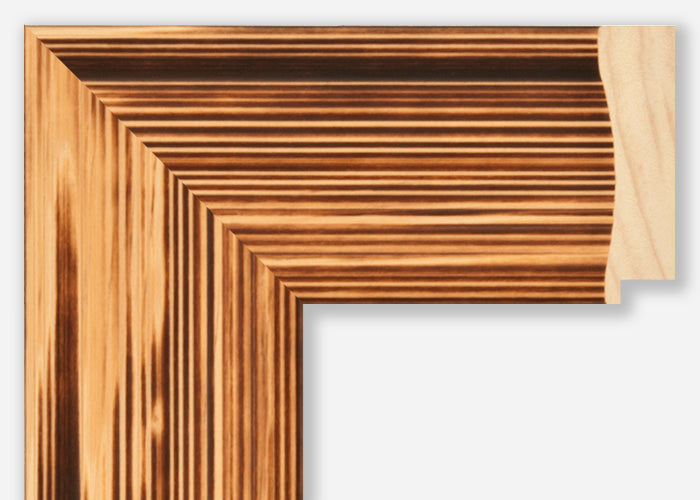 Custom Frame CFSZ8669