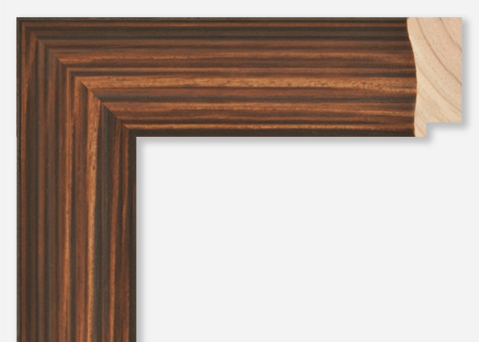 Custom Frame CFSZ8670