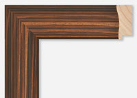 Custom Frame CFSZ8670