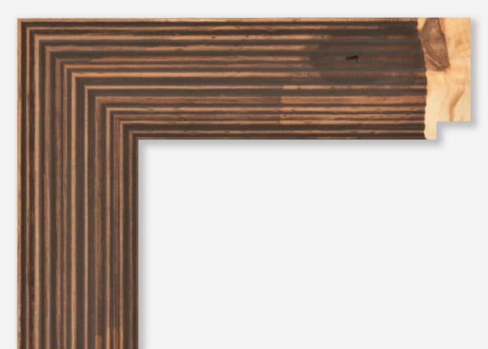 Custom Frame CFSZ8676