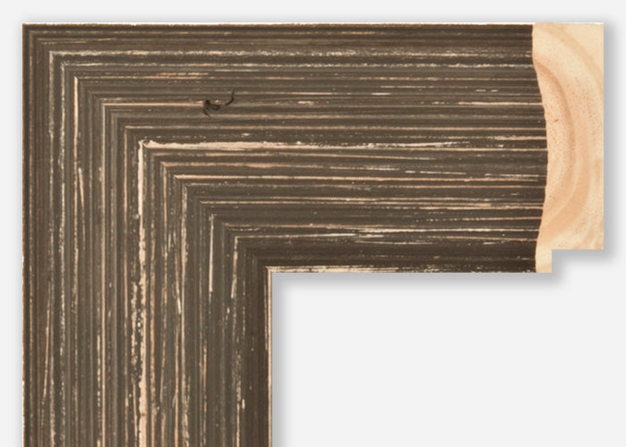 Custom Frame CFSZ8679