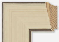 Custom Frame CFSZ8701