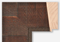 Custom Frame CFSZ8755