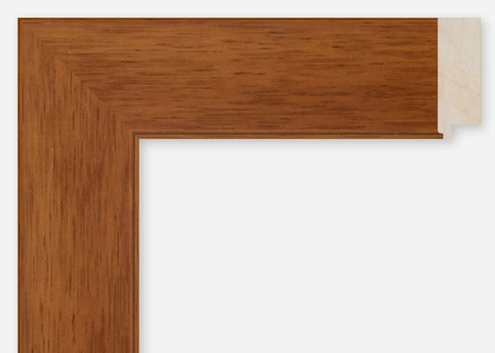 Custom Frame CFSQ8765
