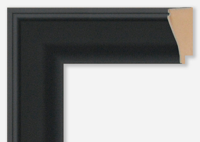 Custom Frame CFSX880-75