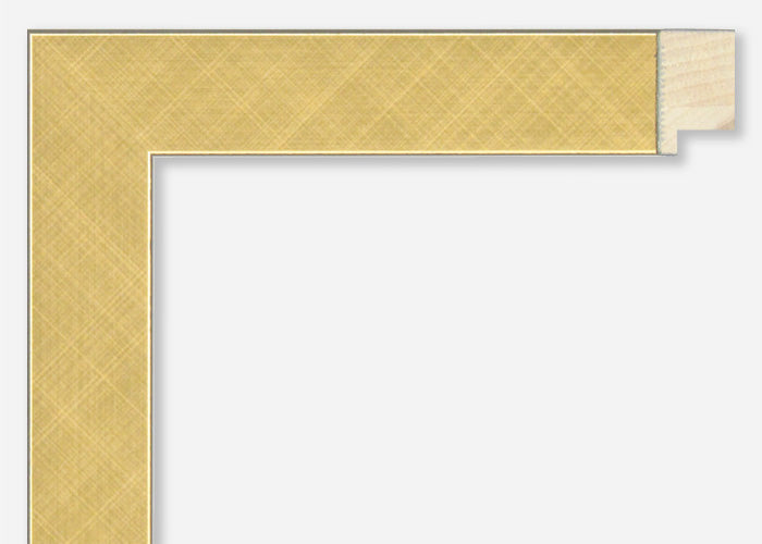 Custom Frame CFSX880-85