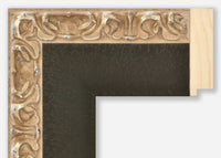 Custom Frame CFSZ8800