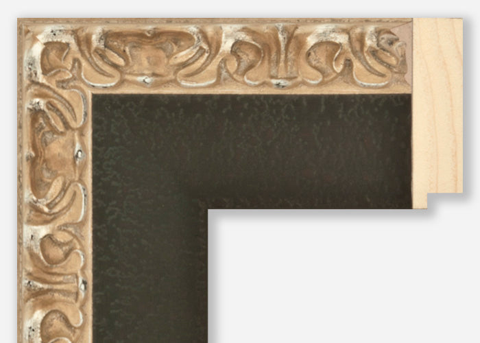 Custom Frame CFSZ8800