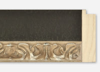 Custom Frame CFSZ8800