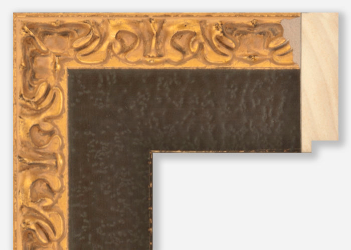 Custom Frame CFSZ8801