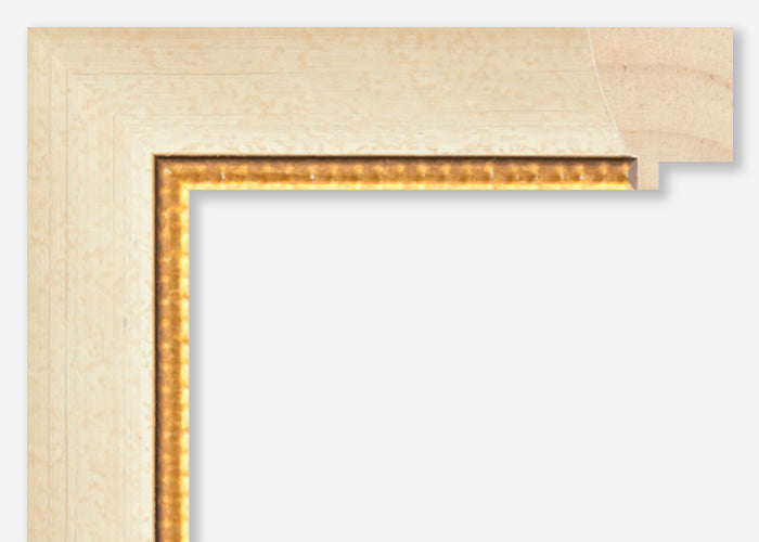 Custom Frame CFSZ8806