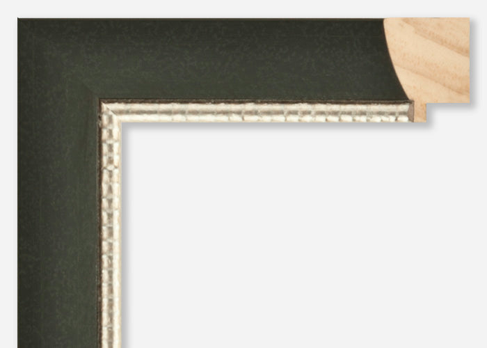 Custom Frame CFSZ8808
