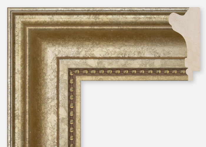 Custom Frame CFSQ8809