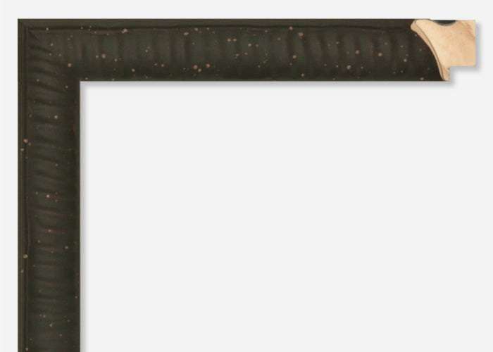 Custom Frame CFSZ8835