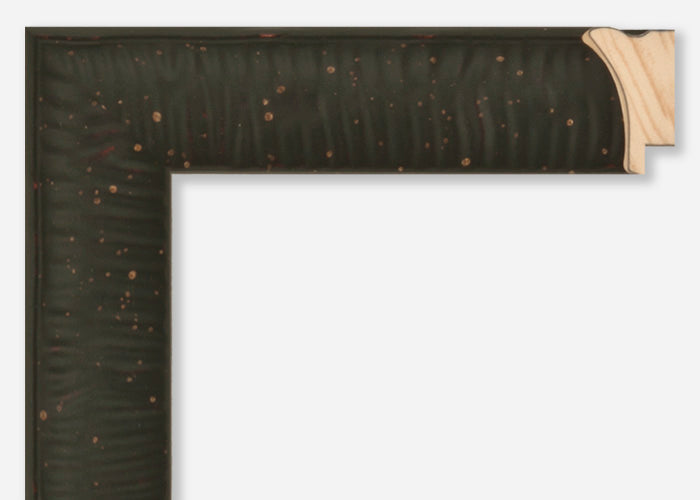 Custom Frame CFSZ8836