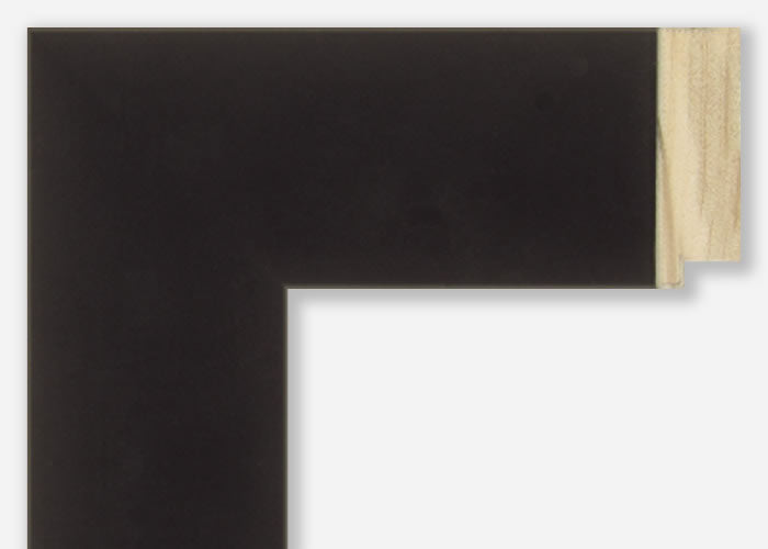 Custom Frame CFSX885-40