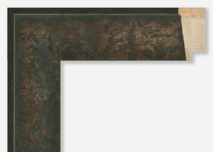 Custom Frame CFSZ8854