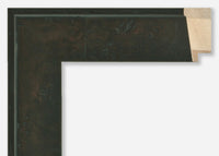 Custom Frame CFSZ8856