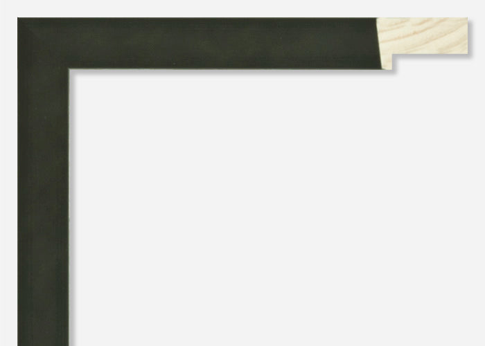 Custom Frame CFSZ8867