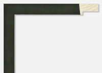 Custom Frame CFSZ8867