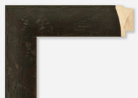 Custom Frame CFSZ8921