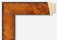 Custom Frame CFSZ8923